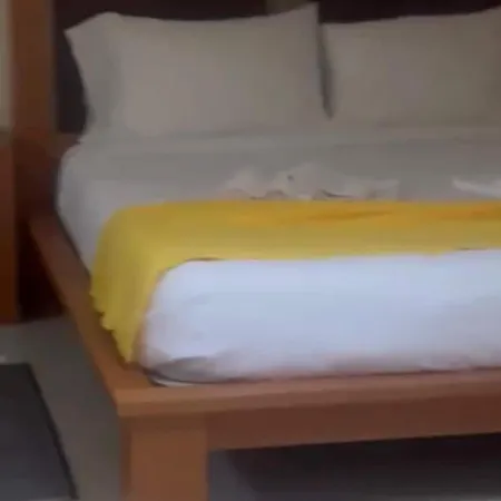 O Cantinho Amarelo * Brenha